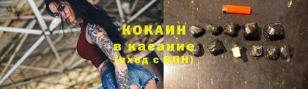 гашик Алексин