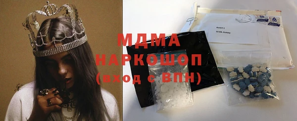гашик Алексин