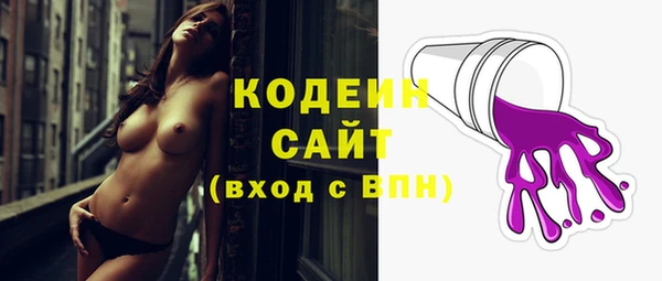 гашик Алексин