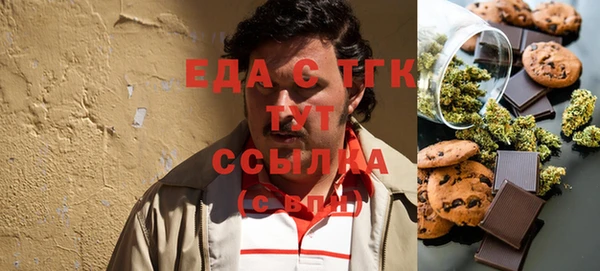 гашик Алексин