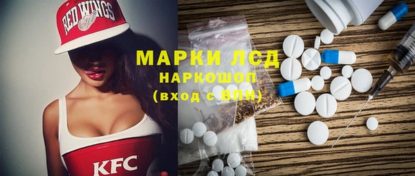 гашик Алексин