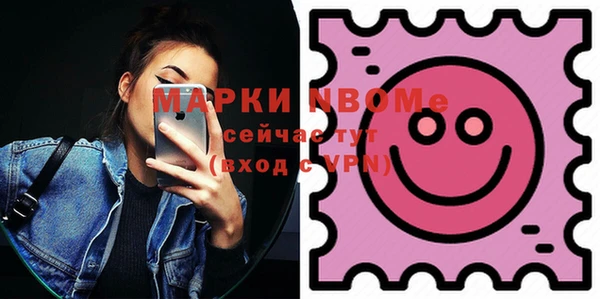 гашик Алексин