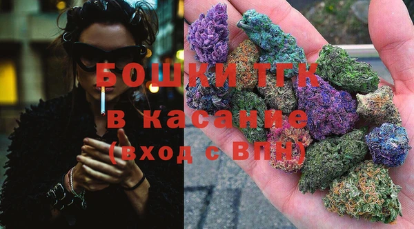 ECSTASY Алзамай