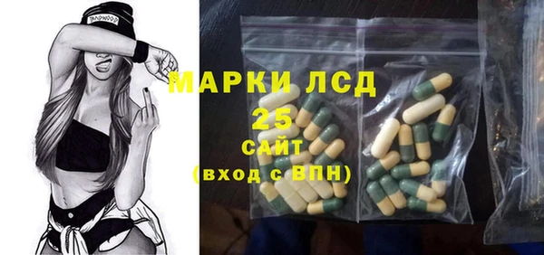 гашик Алексин