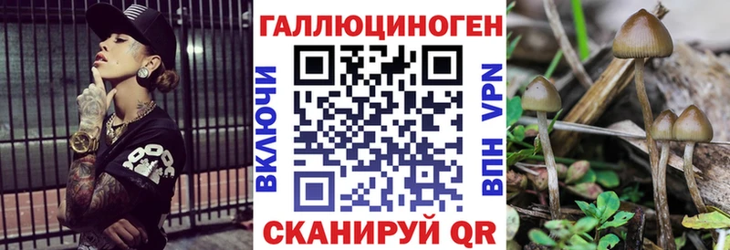 Галлюциногенные грибы Psilocybine cubensis  Петровск 